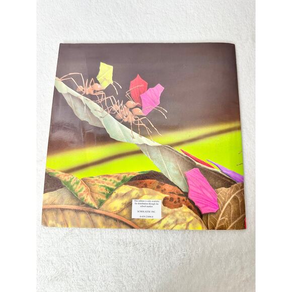 4 Book Set Janell Cannon Stellaluna Pinduli Verdi Crickwing Kids Literature Gift - Picture 12 of 12